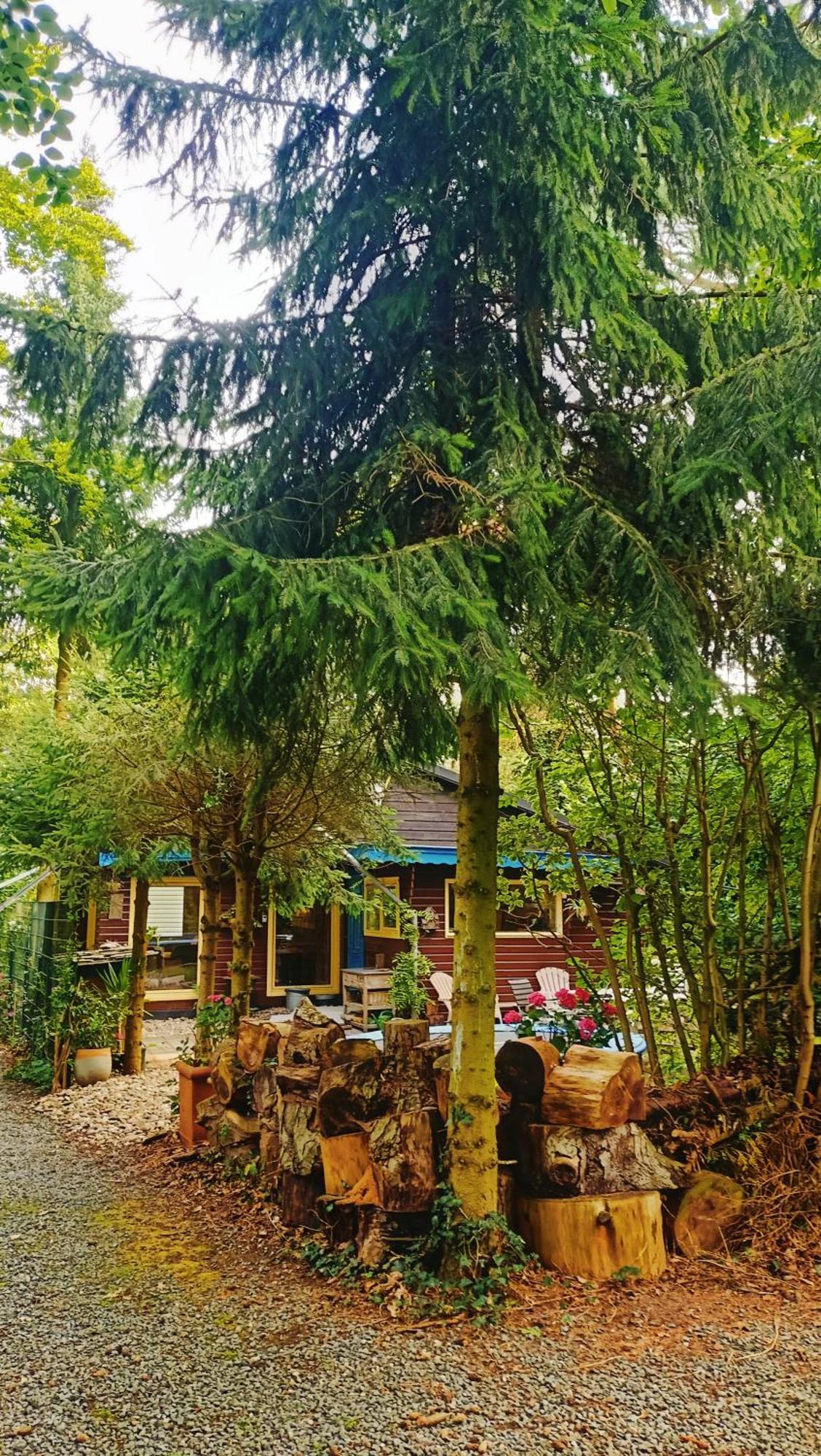 Het Houten Boshuisje Hattemerbroek Exterior foto